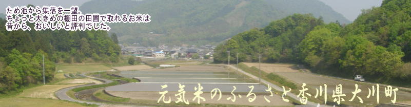元気米のふるさと大川町
